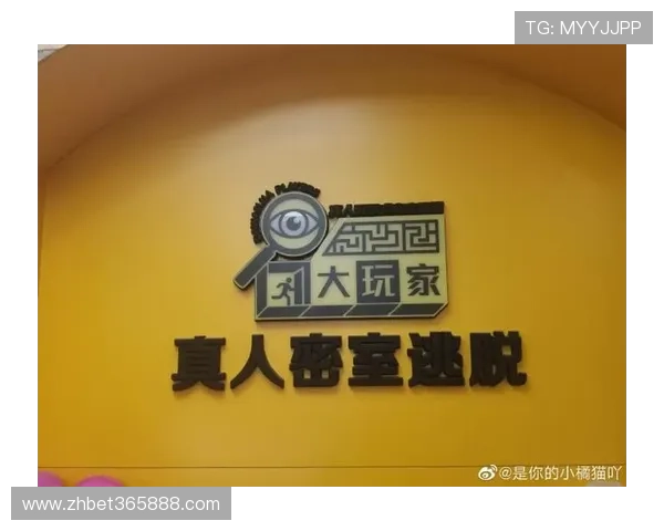 B体育真人手机版最新版本功能介绍与操作指南详解